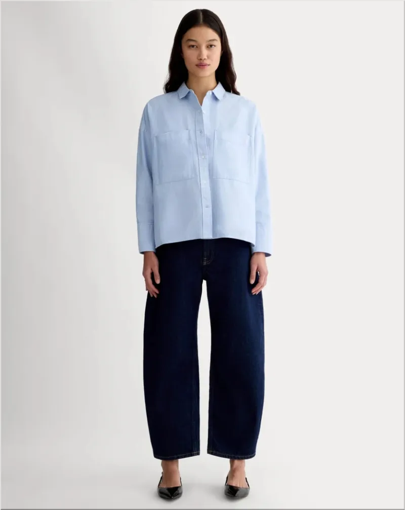 Everlane The Boxy Oxford
