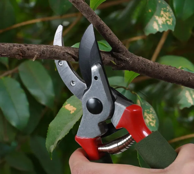 Pruning shears