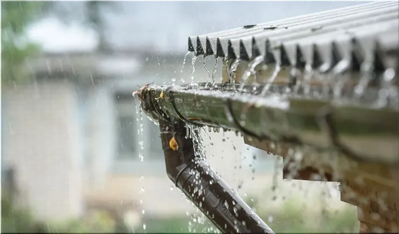 Rainwater Harvesting in Your Garden