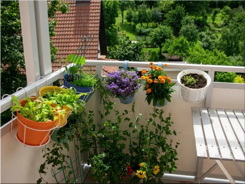 Balcony Garden