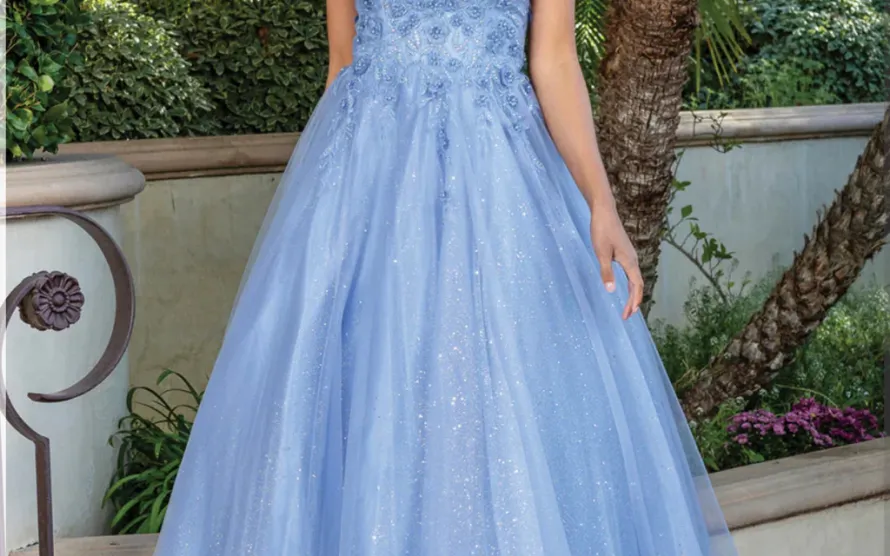 A-Line Prom Dresses