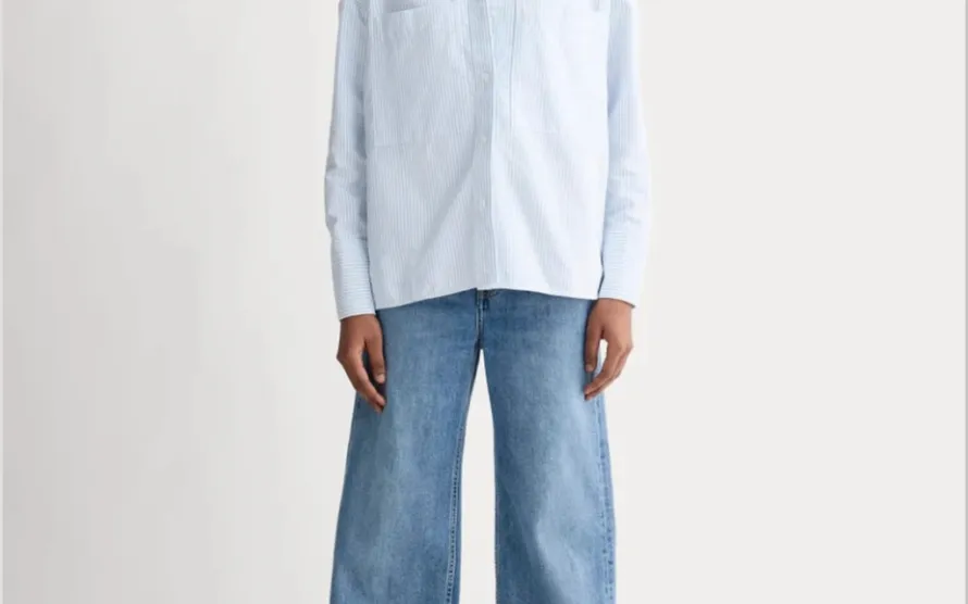 Everlane The Boxy Oxford