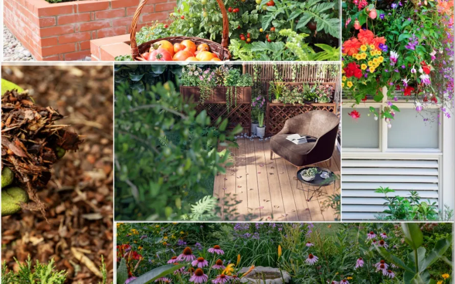 Low-Maintenance Native Garden Ideas for Small Yards, Patios, and Balconies
