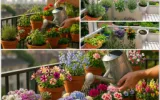 How to Water a Balcony Garden Without Drowning Your Plants