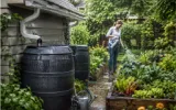 Rainwater Harvesting in Your Garden