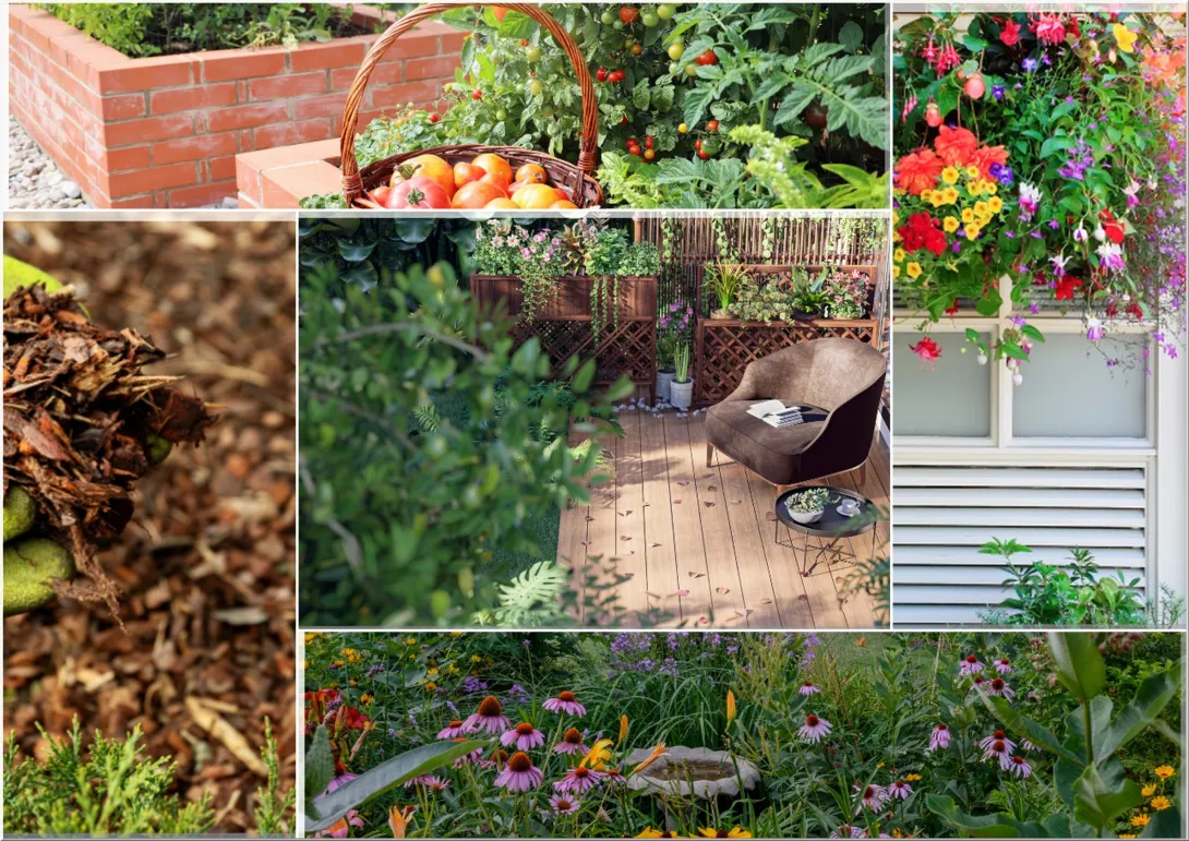 Low-Maintenance Native Garden Ideas for Small Yards, Patios, and Balconies